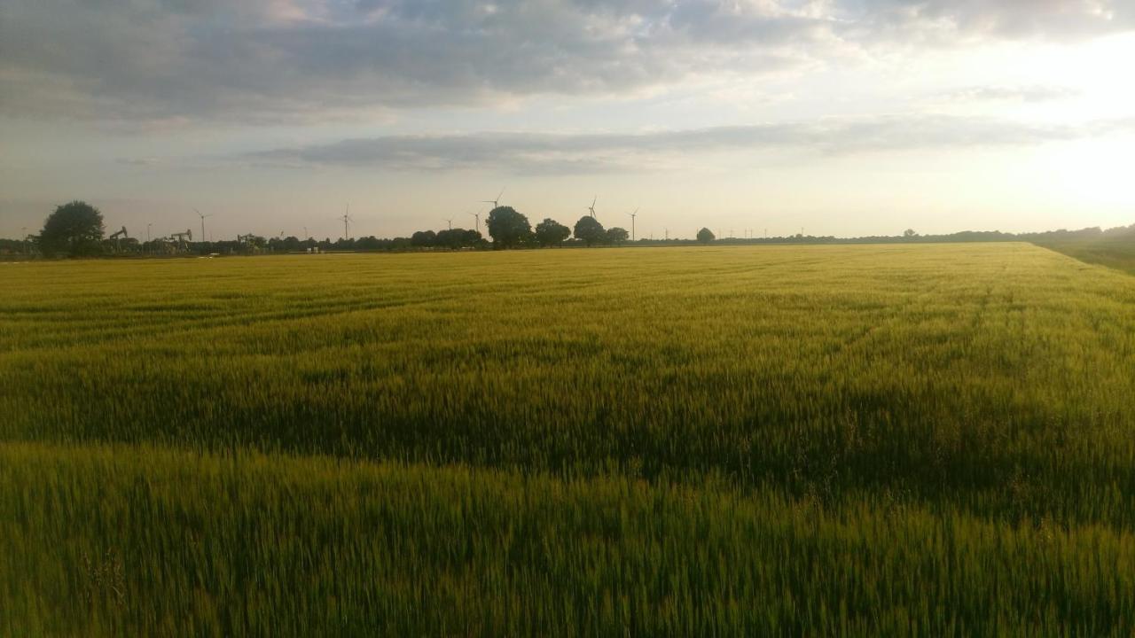 Het Vlieghuisje Coevorden Luaran gambar