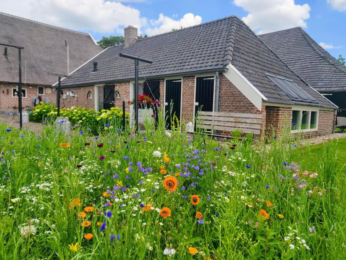 Het Vlieghuisje Coevorden Luaran gambar